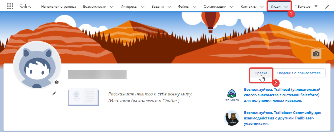 _images/salesforce-phone.png